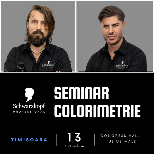 Seminar de Colorimetrie – Timișoara -13 octombrie