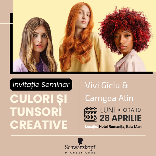 Seminar culori și tunsori creative - BAIA MARE 28 APRILIE
